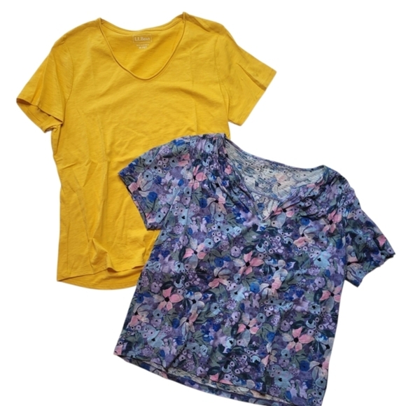 LL Bean Shirt bundle V-neck Medium Petite - Picture 1 of 4